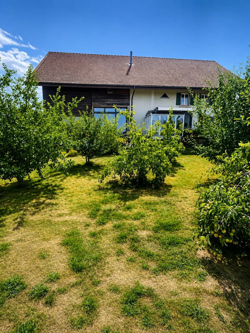 Grande maison en viager semi-occupé sans rente avec grand potentiel (3)