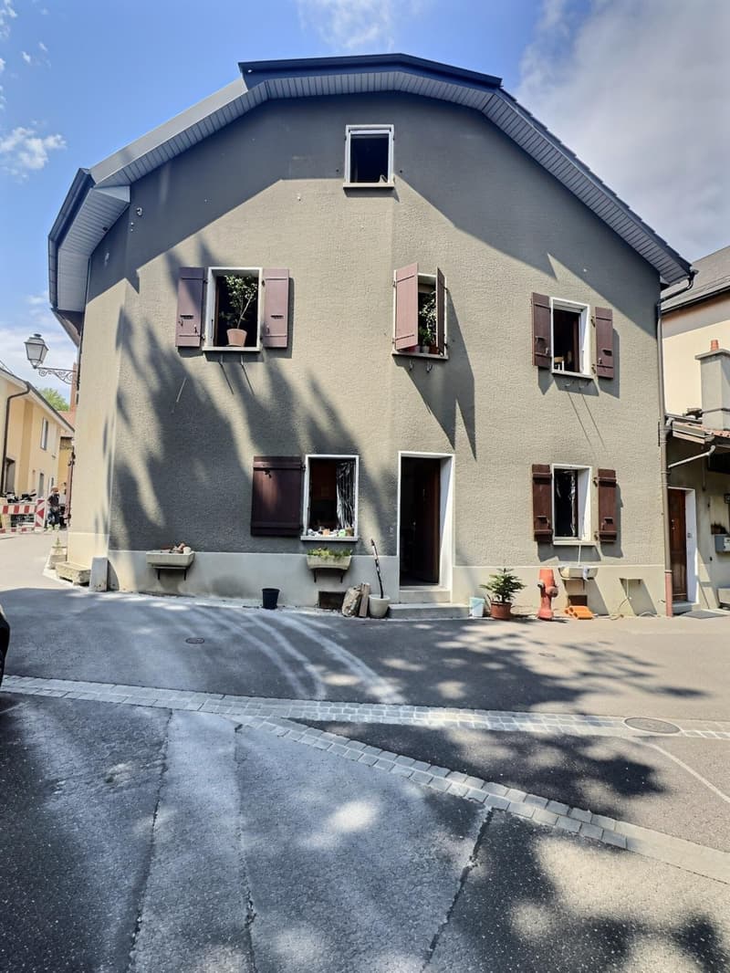 Grande maison idéalement située en viager semi occupé sans rente (1)