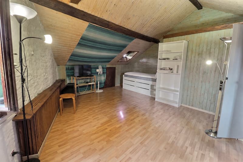 Grande maison idéalement située en viager semi occupé sans rente (8)