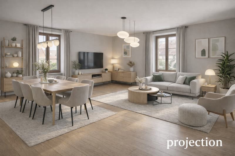 Bel appartement en viager occupé sans rente (1)