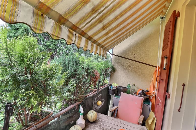 Magnifique appartement en viager occupé sans rente. (4)