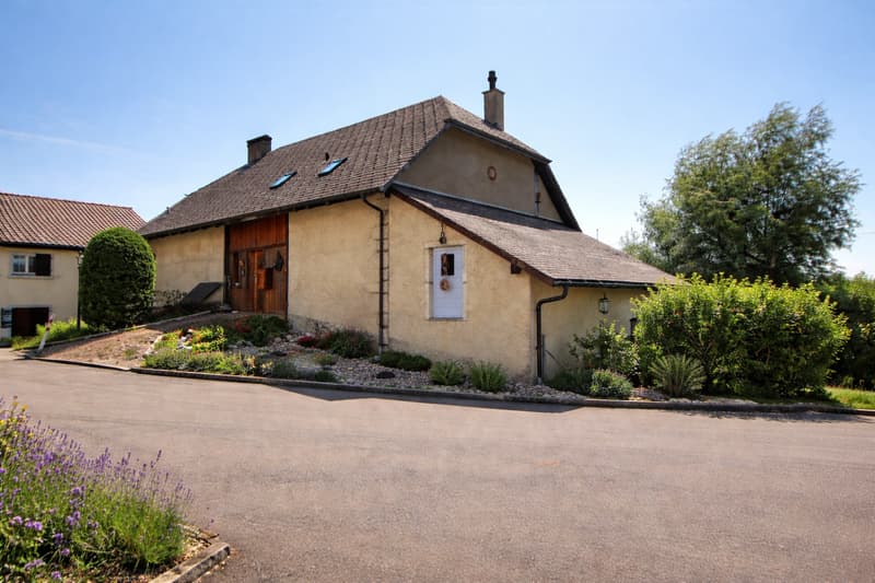 Jolie maison en viager occupé sans rente (3)