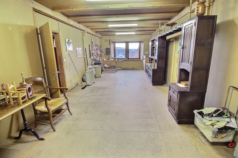 Jolie maison en viager occupé sans rente (10)