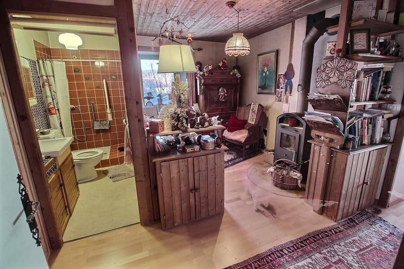Jolie maison en viager occupé sans rente (11)