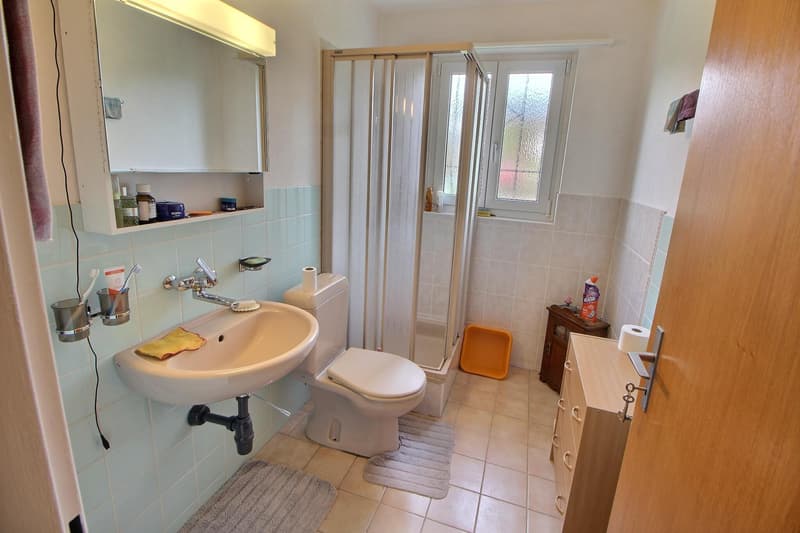 Belle et grande maison en viager occupé sans rente. (9)