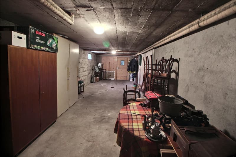 Belle et grande maison en viager occupé sans rente. (12)