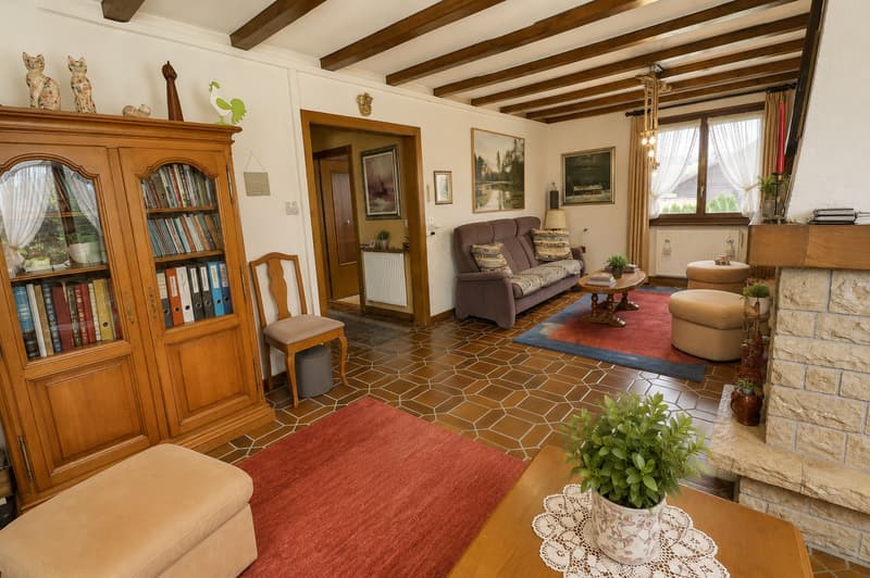 Magnifique maison individuelle en viager occupé sans rente avec vue sur le Jura (10)