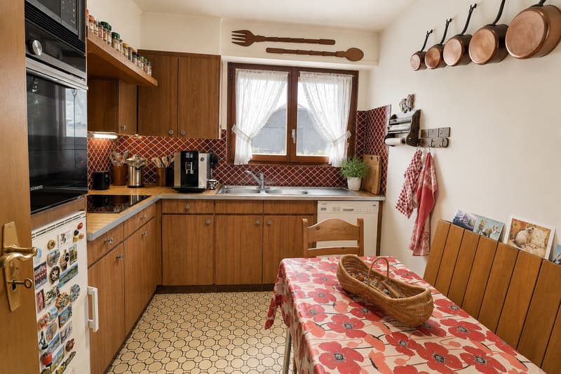 Magnifique maison individuelle en viager occupé sans rente avec vue sur le Jura (9)