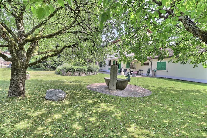 Magnifique maison individuelle en viager occupé sans rente avec vue sur le Jura (4)