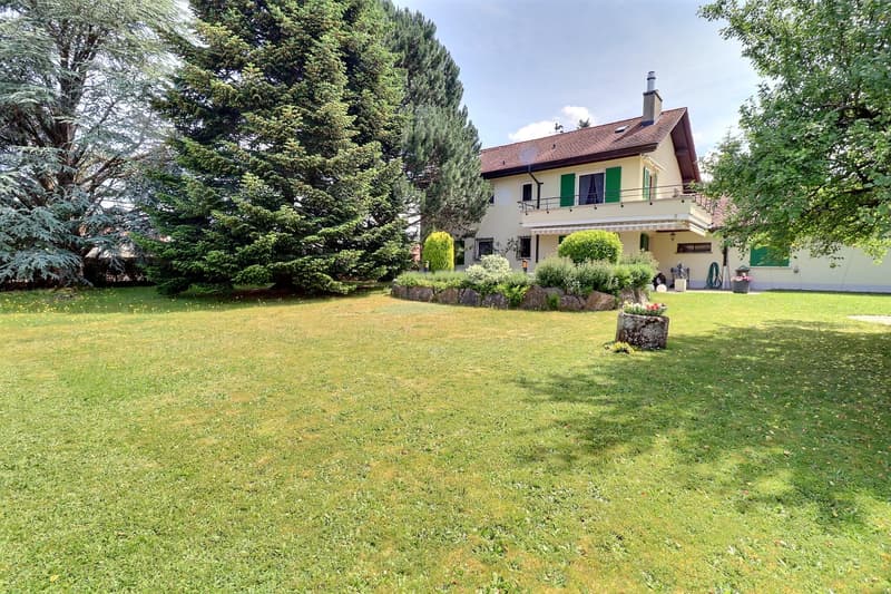 Magnifique maison individuelle en viager occupé sans rente avec vue sur le Jura (5)