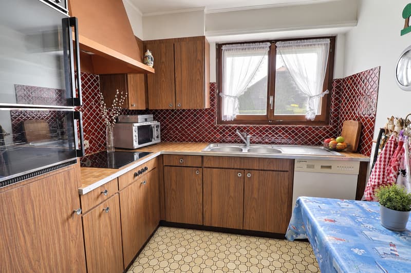 Magnifique maison individuelle en viager occupé sans rente avec vue sur le Jura (13)