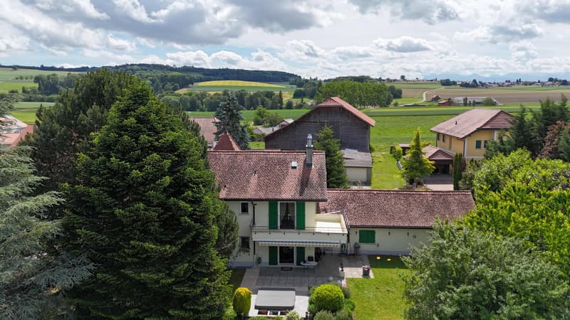 Magnifique maison individuelle en viager occupé sans rente avec vue sur le Jura (7)
