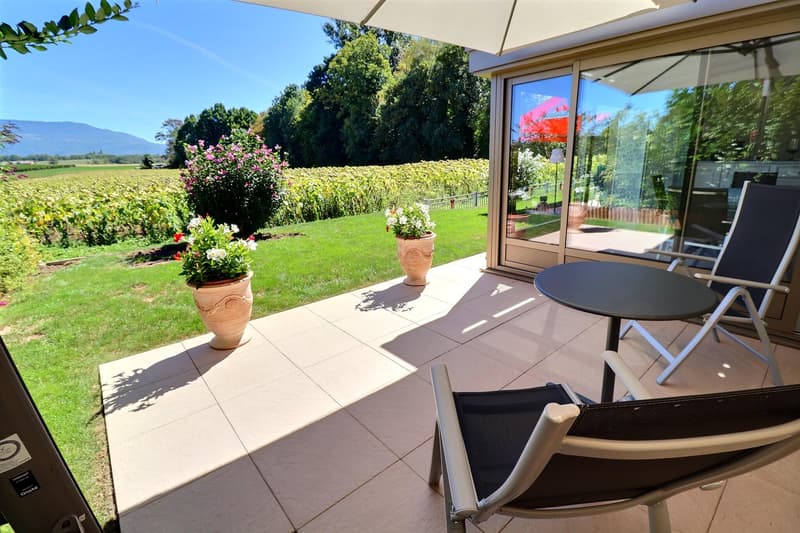 Magnifique appartement en rez de jardin vue dégagée sur la campagne en viager occupé sans rente (3)