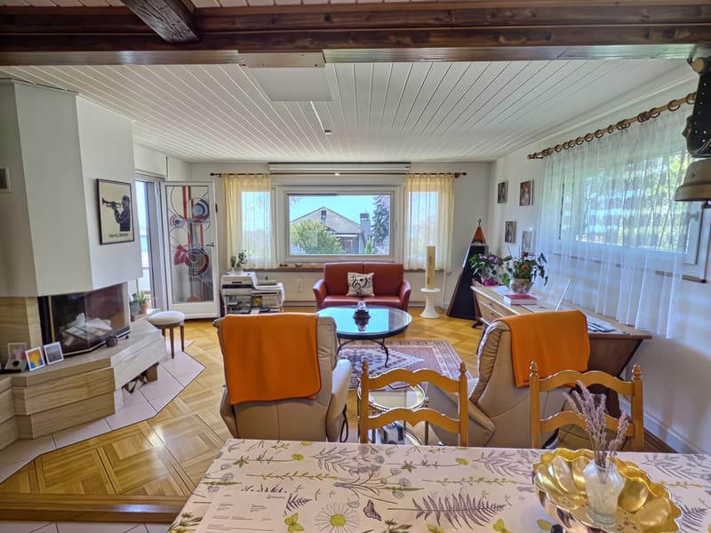 Maison en viager occupé sans rente avec vue Lac (8)