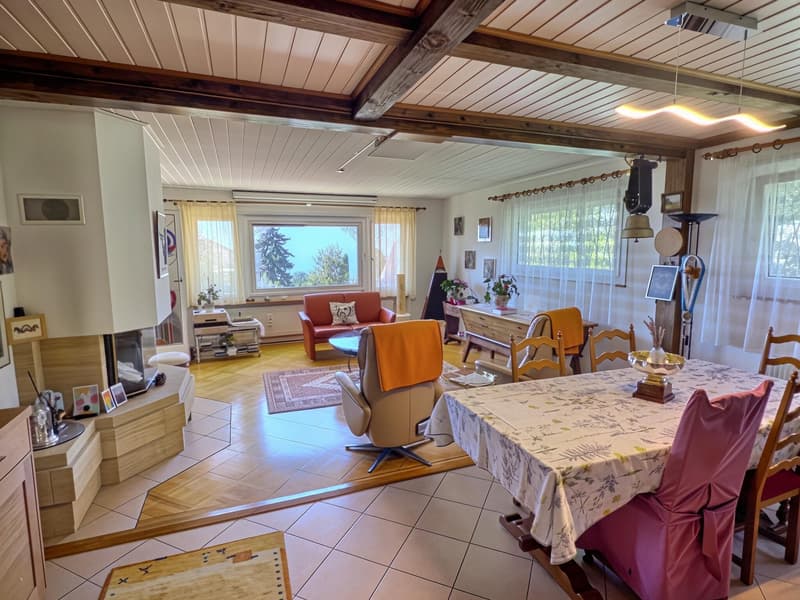 Maison en viager occupé sans rente avec vue Lac (7)