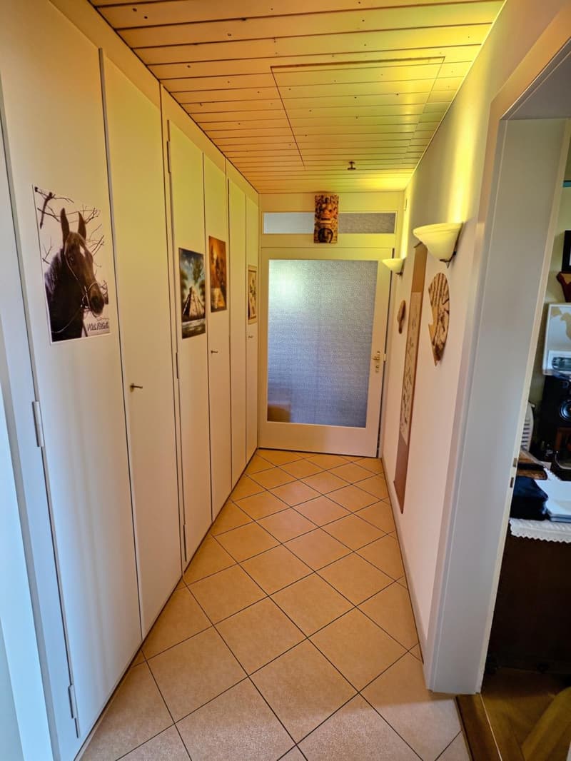 Maison en viager occupé sans rente avec vue Lac (9)
