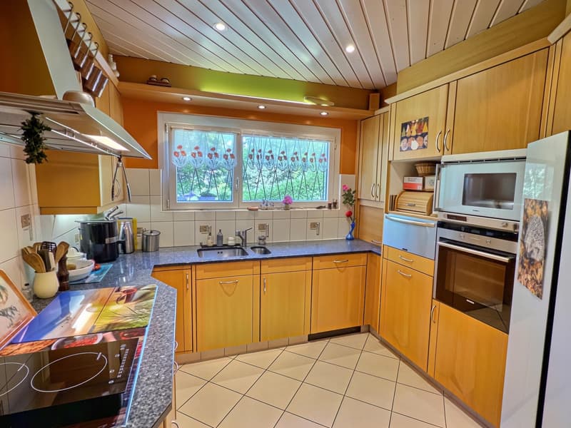 Maison en viager occupé sans rente avec vue Lac (5)