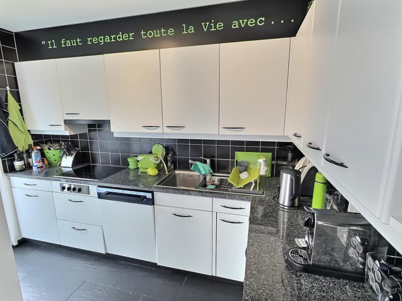 Deux magnifiques appartements en viager semi-occupé sans rente avec rendement. (5)