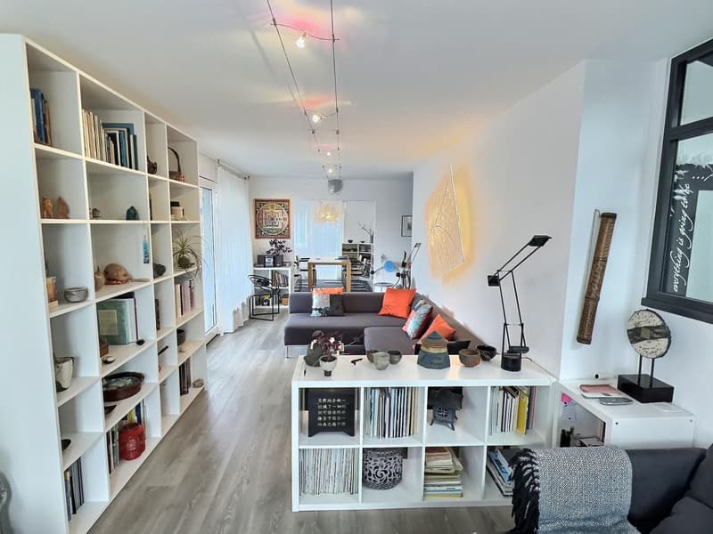 Deux magnifiques appartements en viager semi-occupé sans rente avec rendement. (9)
