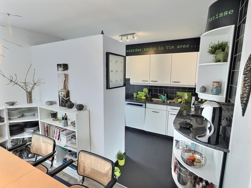 Deux magnifiques appartements en viager semi-occupé sans rente avec rendement. (6)