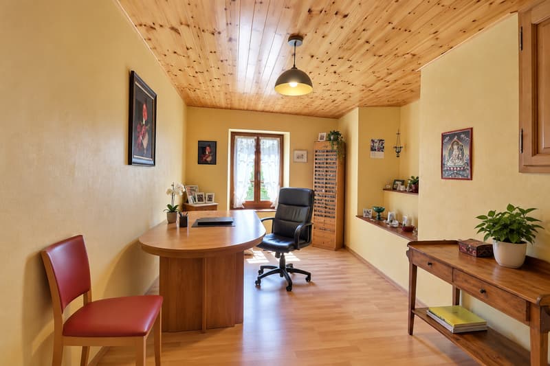 Jolie maison de village en viager occupé sans rente (11)