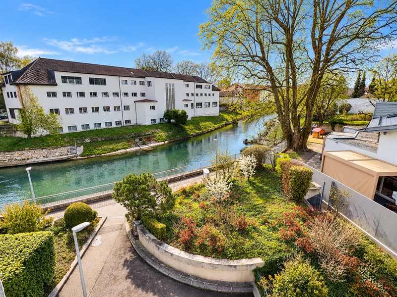 Deux magnifiques appartements en viager semi-occupé sans rente avec rendement. (5)