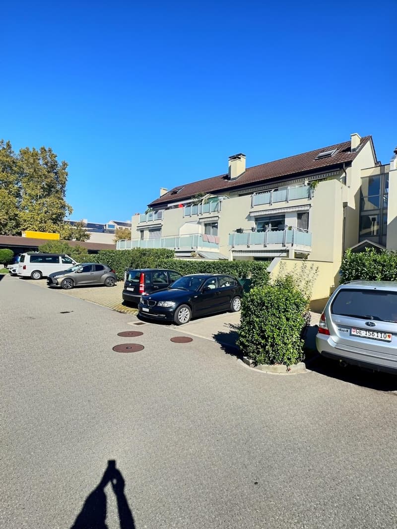 Magnifique appartement traversant en rez de jardin en viager occupé sans rente (4)