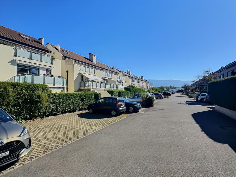 Magnifique appartement traversant en rez de jardin en viager occupé sans rente (1)