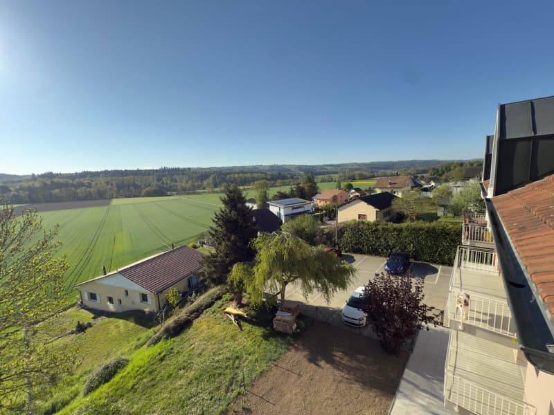 Très bel appartement de 4.5 pièces en attique à Fétigny (6)
