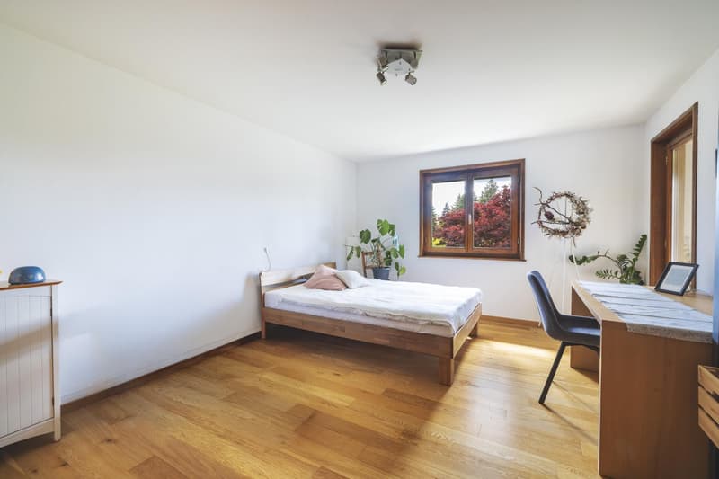 Villa familiale entièrement rénovée avec jardin et vue dégagée - Epalinges (6)