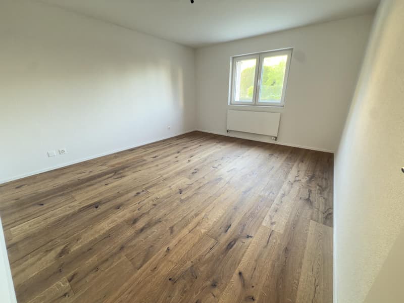 3.5 pièces avec 150m2 de jardin entièrement rénové à Fétigny (10)