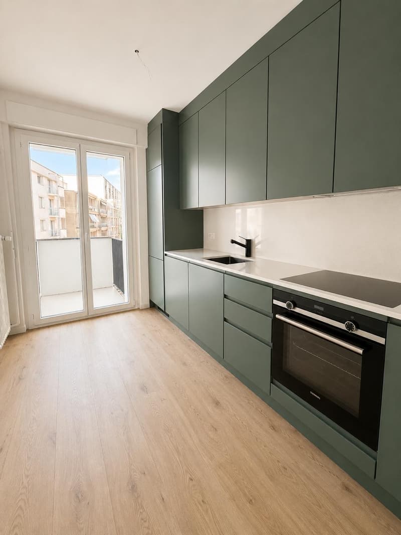 Chambre en colocation dans magnifique appartement 3.5 pièces à Fribourg - quartier Pérolles - lumineux et entièrement remis à neuf (4)