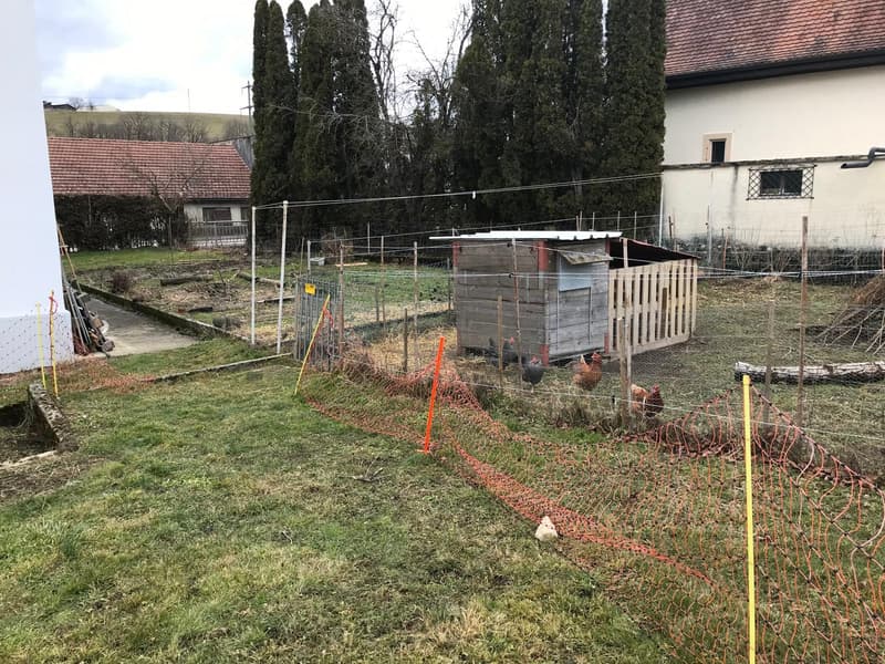 Très beau 4.5 pièces avec jardin et parking à Courfaivre (5)
