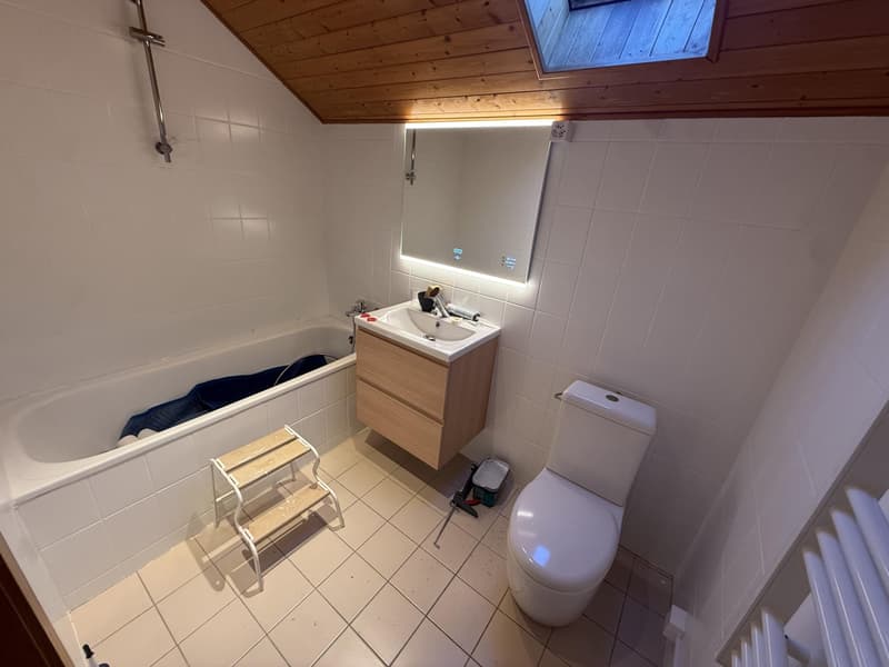 Magnifique appartement 5.5 pièces entièrement rénové avec vue dégagée (8)