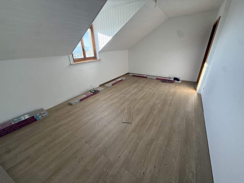 Magnifique appartement 5.5 pièces entièrement rénové avec vue dégagée (4)