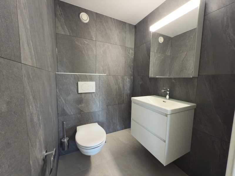 Fétigny : 4.5 pièces rénové de 99 m² avec grand balcon (8)
