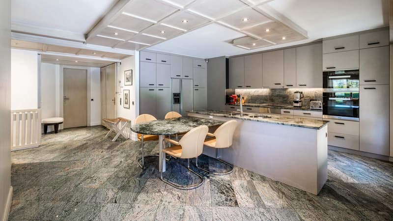 En exclusivité - Élégant Hôtel Particulier dans un écrin de verdure (3)