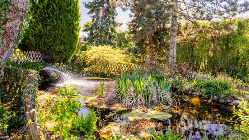 En exclusivité - Élégant Hôtel Particulier dans un écrin de verdure (5)
