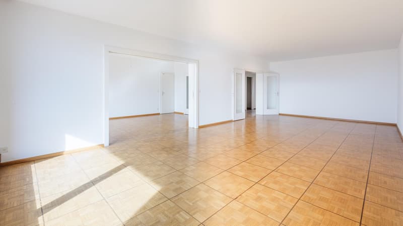 Matutina Parc - Appartement de 193 m2 PPE - 9ème étage (4)