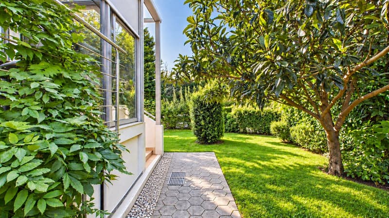 Maison familiale en demi-niveaux avec jardin arboré (2)