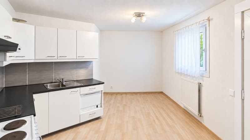 Maison familiale en demi-niveaux avec jardin arboré (29)