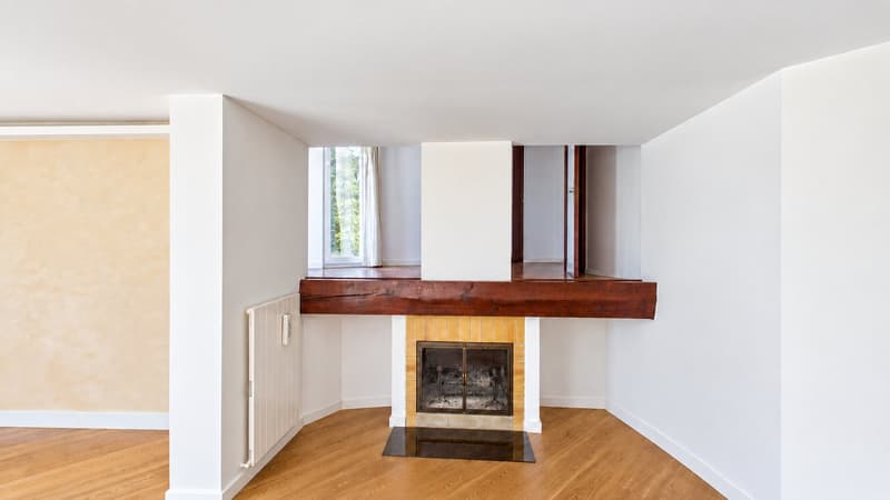 Maison familiale en demi-niveaux avec jardin arboré (6)