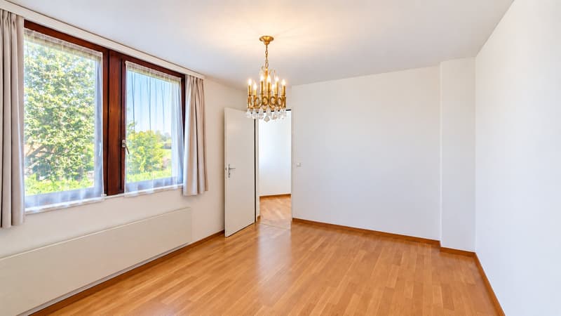 Maison familiale en demi-niveaux avec jardin arboré (16)