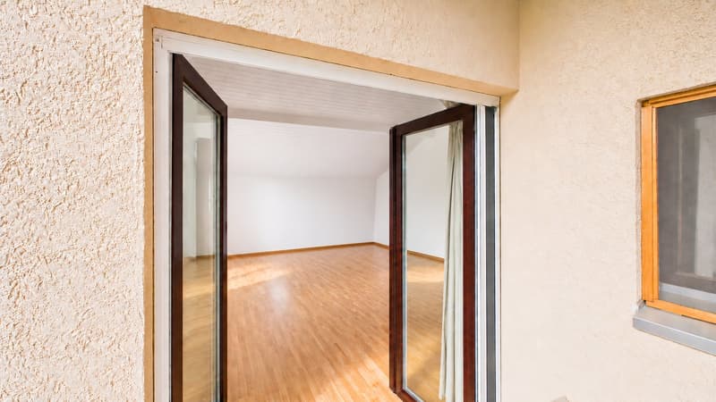 Maison familiale en demi-niveaux avec jardin arboré (11)