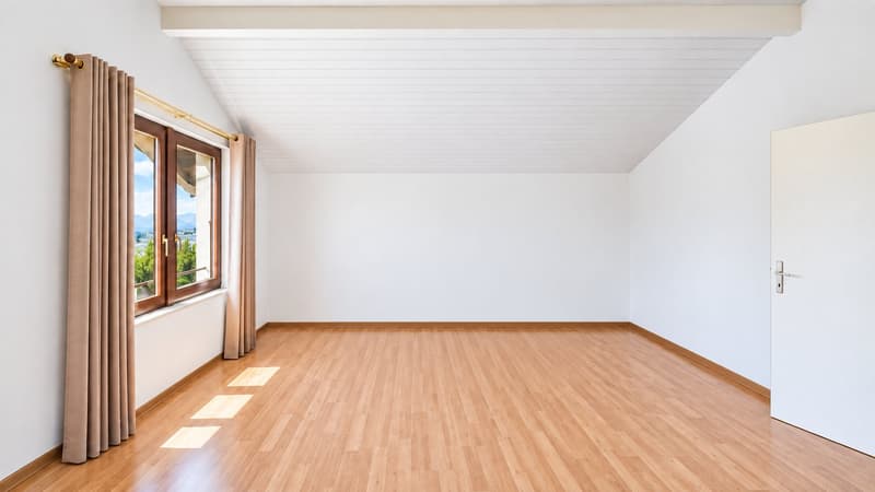 Maison familiale en demi-niveaux avec jardin arboré (7)