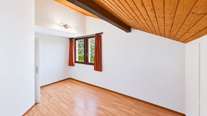 Maison familiale en demi-niveaux avec jardin arboré (19)