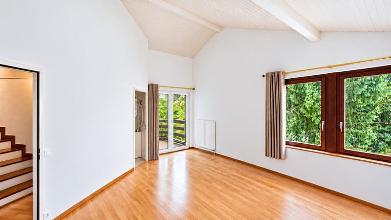 Maison familiale en demi-niveaux avec jardin arboré (10)