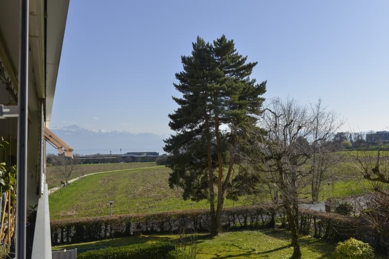 View of a spacious green field with tall trees, hedges, and mountains in the distance, seen from an upper floor window