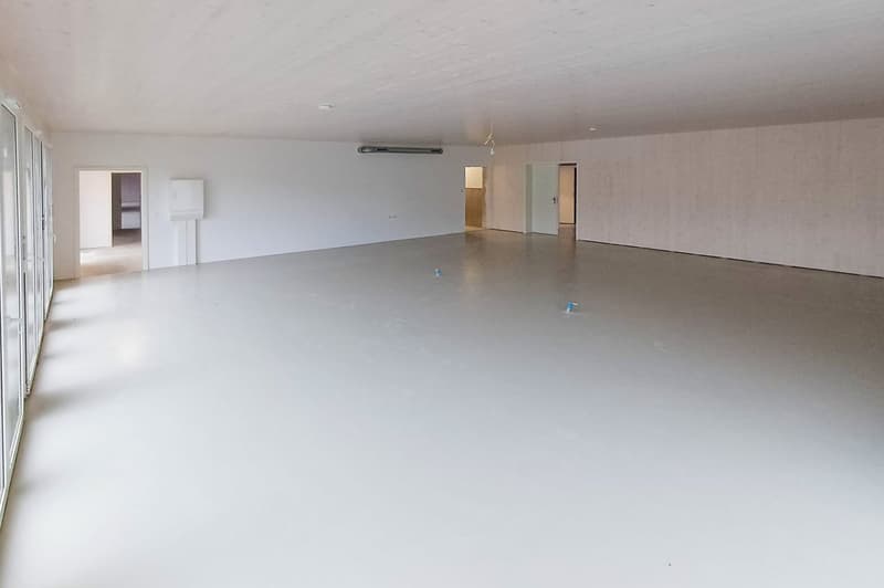 Atelier artisanal de 110 m2 au rez-de-chaussée d'un immeuble neuf (4)