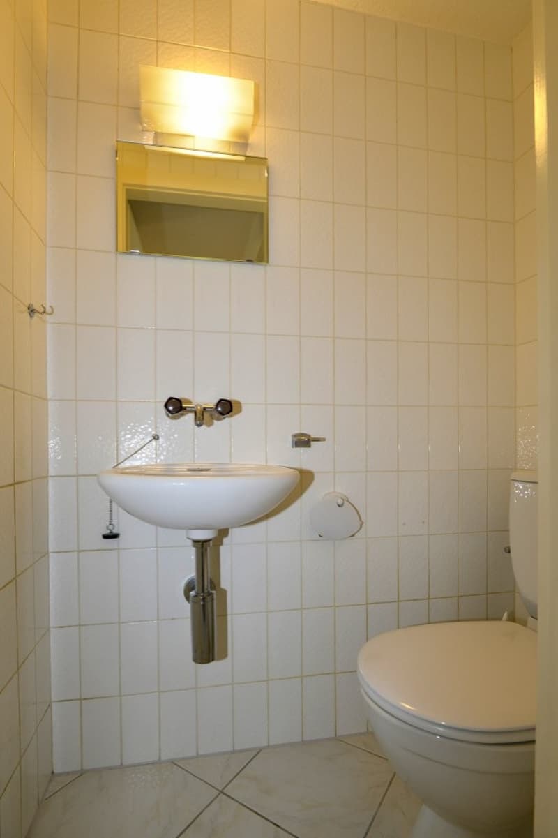 Charmant et spacieux appartement de 3.5 pièces avec balcon/loggia et place de parc (12)